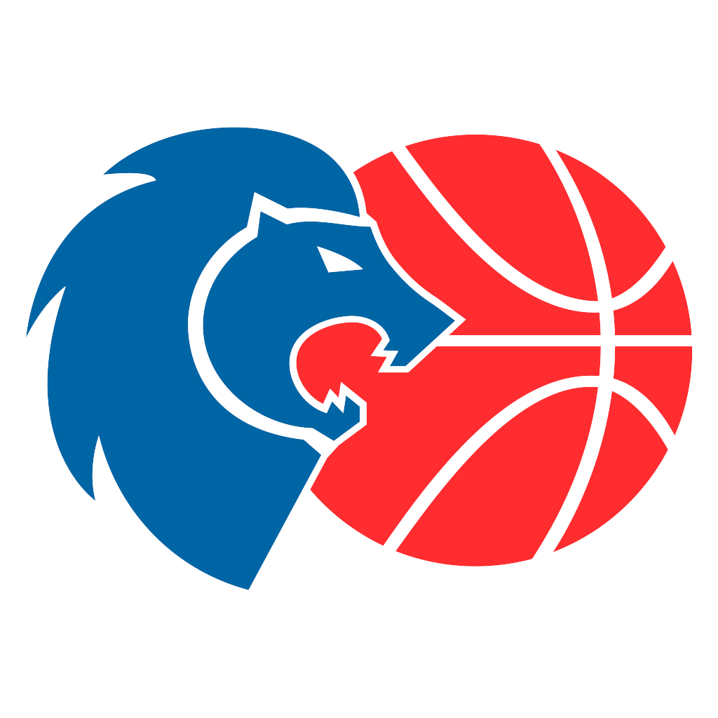 https://img.gzagcar.com/img/basketball/team/6162ac364afbbd81d48ee577b1105bd9.png